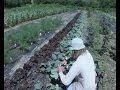 Permaculture - La Ferme-Arc-En-Ciel – Extrait