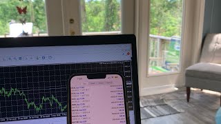 Free Forex EA Robot Setup Video for mt4 & mt5 how to set up forex robot on MacBook or windows 