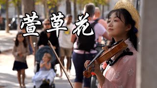 小提琴《萱草花 Day Lily》张小斐 Xiaofei Zhang | 萱草花開，你有多久沒見過媽媽了 | Violin playing cover | ilingmusic