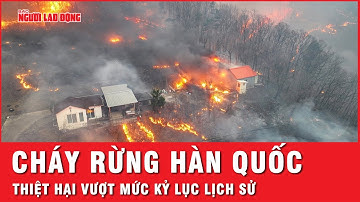 Thảm họa cháy rừng liên tục hoành hành ở Hàn Quốc và Nhật Bản, sức tàn phá khủng khiếp | Tin tức