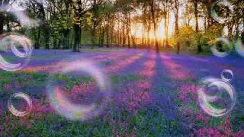 ما تيسر من آيات القرآن الكريم بصوت القارىء أبو بكر الشاطري