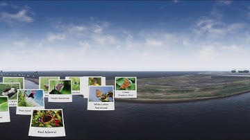 Mersey Gateway Fly Through VR Demo 2