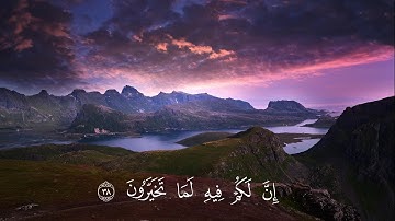 هدوء فوق الخيال سورة القلم...القارئ أسامة صالح