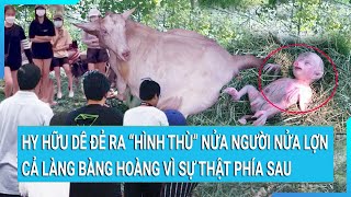 Hy hữu dê đẻ ra “hình thù” nửa người nửa lợn, cả làng bàng hoàng vì sự thật phía sau