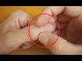 【知らないと損】自分の指を１分間揉むと体に起こる変化が凄いと話題に！ 　知らないと損をする雑学がヤバすぎる・・・と話題に！【衝撃】
