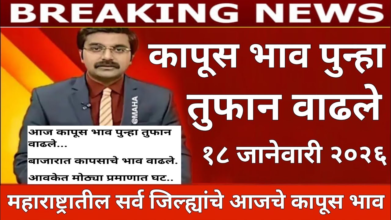 आजचे कापूस बाजार भाव |भाव तुफान वाढले |या जिल्ह्यात सर्वात जास्त भाव kapus bhav today | cotton rate
