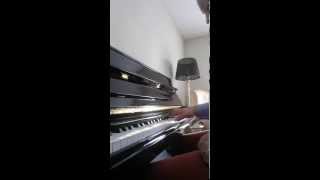 Video thumbnail of "Great Expectations Toto cover by Jimmy Keys"