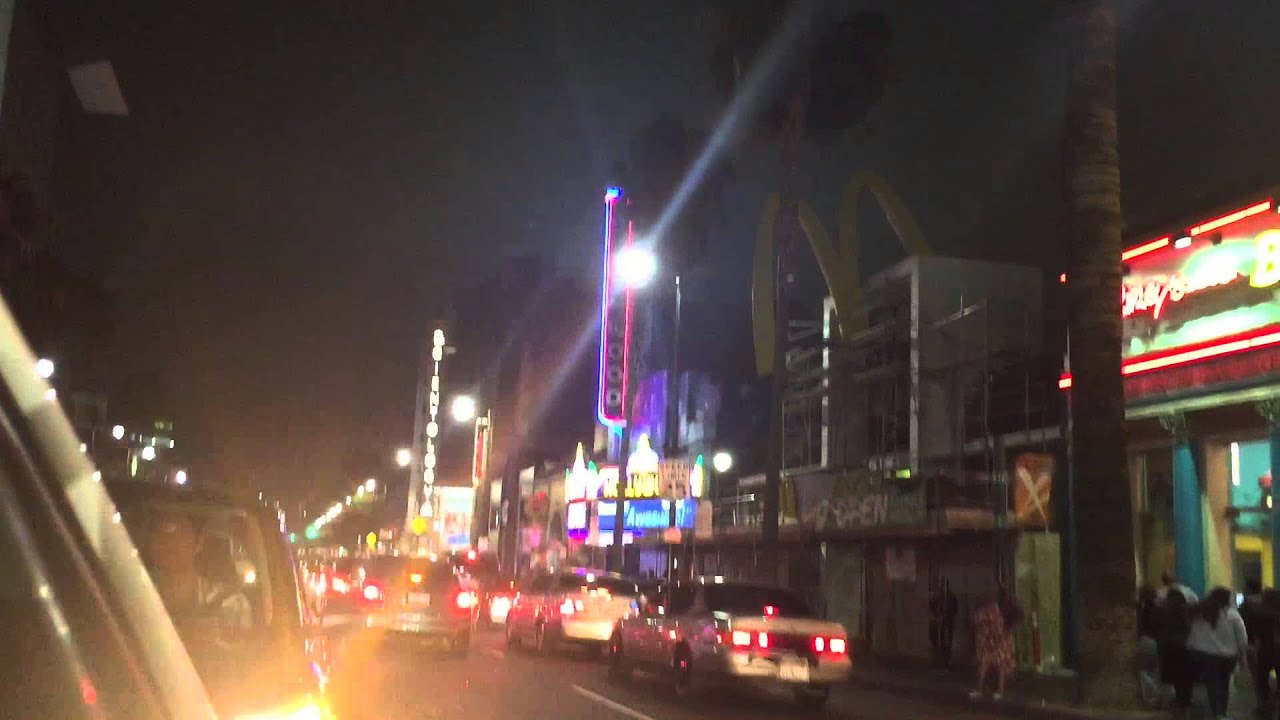 HUGE DOG!!!! walking on the Hollywood Boulevard! Walk Of Fame