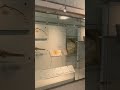 Pterosaurus@American Museum of Natural History | New York | #Shorts | Cool Places