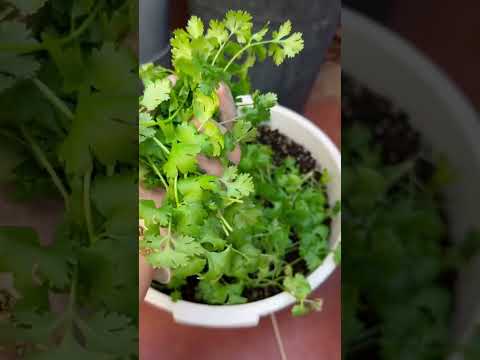 الزراعه في شهر فبراير اشتراك بالقناة ولايكات وتفعيل الجرس اكسبلور ترندات زراعة