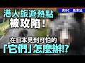 港人旅遊熱點被攻陷！在日本見到可怕的「它們」怎麼辦!?