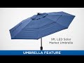 Umbrella Market Solar