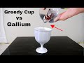 How To Stop The Greedy Cup