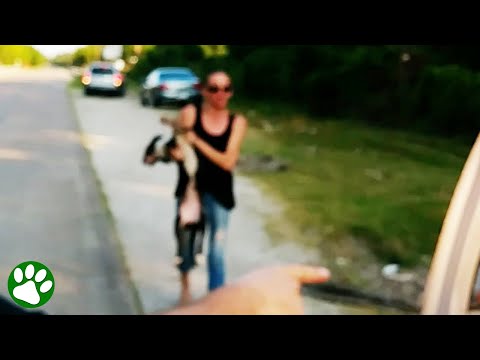 Woman caught in the act trying to dump her dog