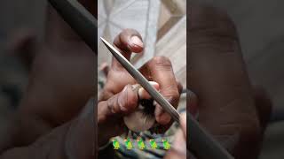 African Love bird beak cutting