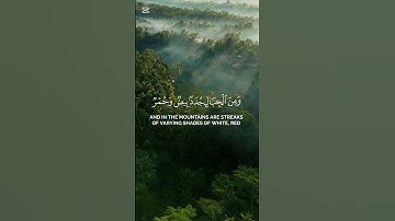 #سورة_فاطر الآية (27 - 28) بصوت القارئ #ياسر_الدوسري #تلاوة_هادئة #راحة_نفسية #القرآن_الكريم #ترند