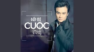 Bông Hồng Cài Áo
