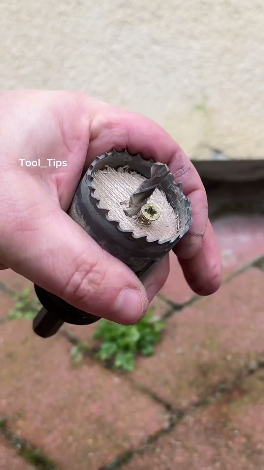 Tool Tips ?