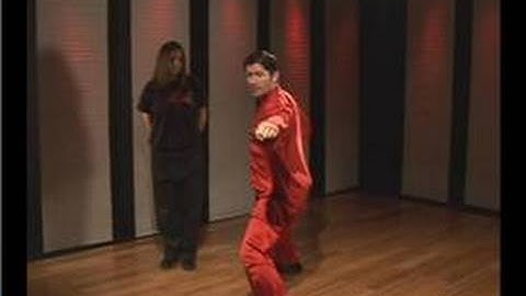 Kung Fu : Tan Tui Sleeve Block Reverse Punch Kick Punch