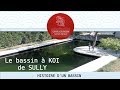 HISTOIRE DE BASSIN : Le bassin à koi de Sully, une belle réalisation .