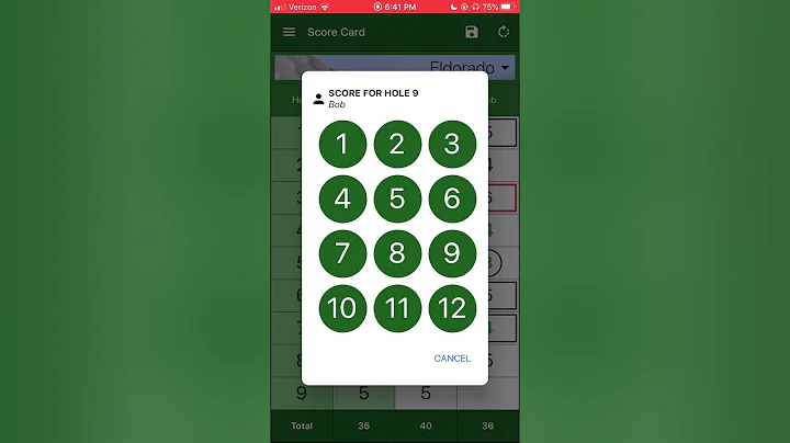 EasyScore 2.0 Interactive Golf Scorecard mobile ap...