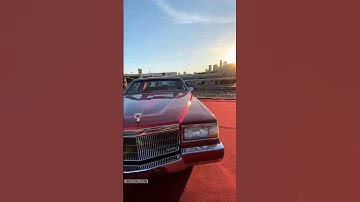 Thumbnail of EVERYBODY LOVES THE SUNSHINE