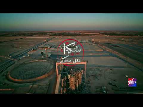 مصنع القناة للسكر المنيا