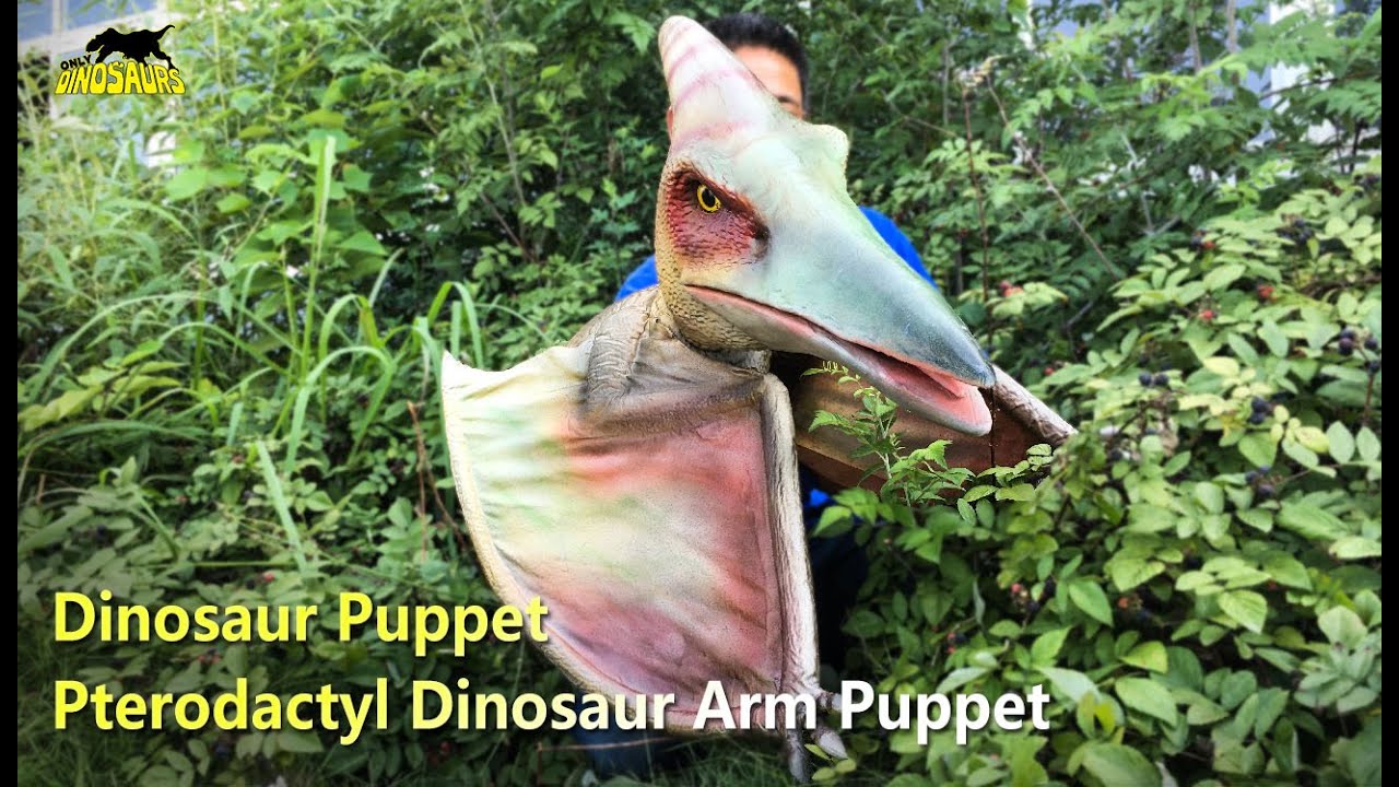 Dinosaur Puppet: Realistic Pterodactyl Dinosaur Arm Puppet | Puppets