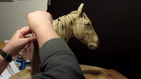 A Short Review of my First 5 Instructional DVDs I have for Sale. I Now Have 8