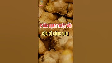 6 Tác dụng tuyệt vời của củ gừng tươi