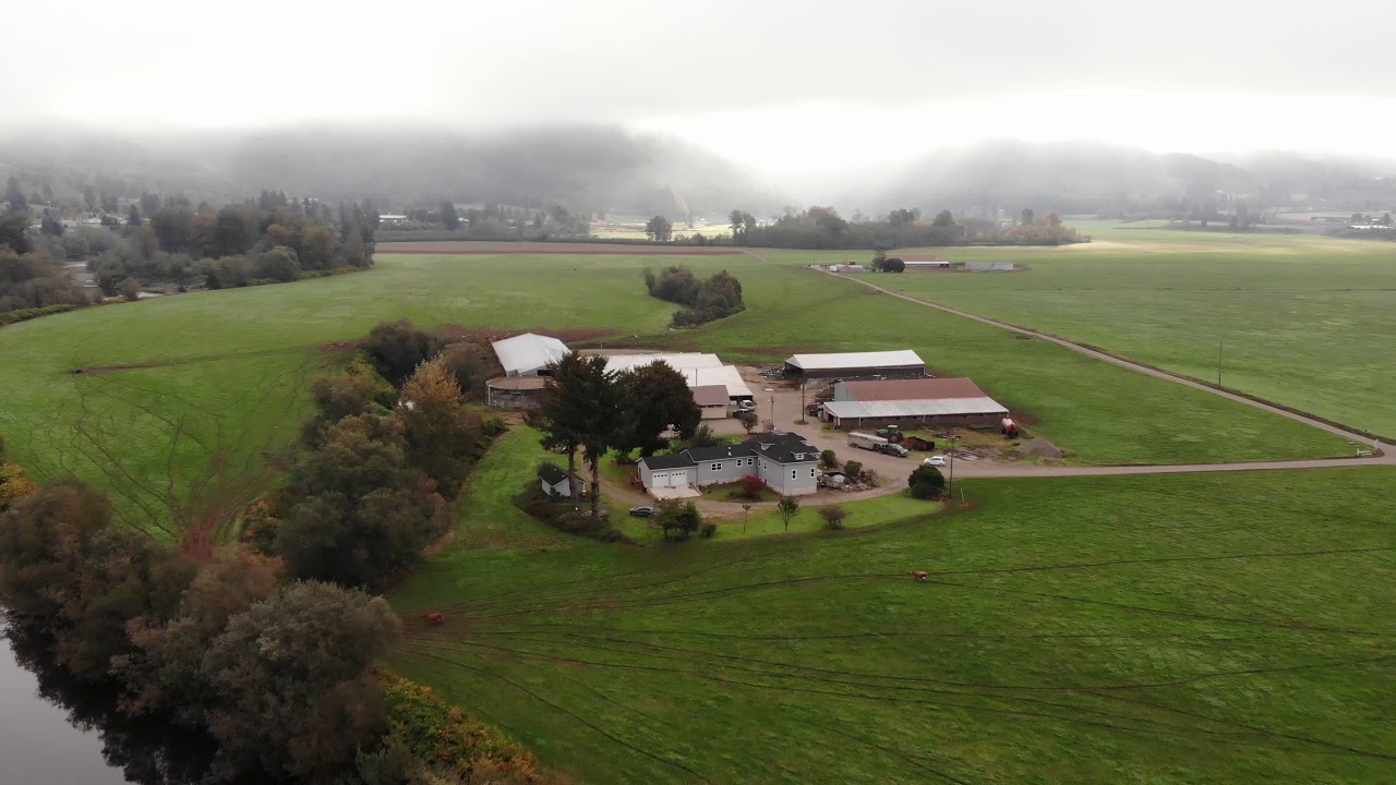 Tillamook Dairy Farmer Aerial View of Farm