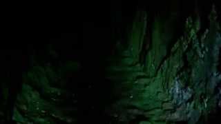 A COVA DE XAN RATA (ALLANDE, ASTURIAS)