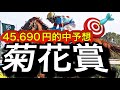 2025年菊花賞的中予想