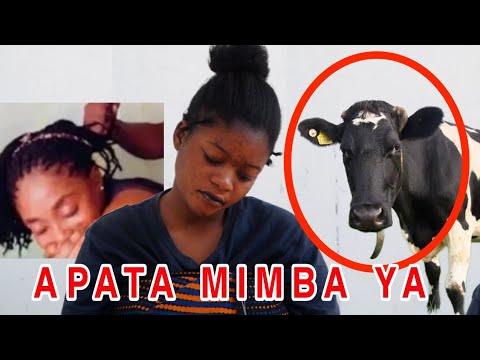 Video: Mlinzi wa ng'ombe ni wa nini?