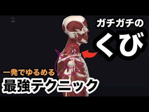 ガチガチの頸部を一発で緩める最強の弛緩テクニック【腰痛 治し方 ストレッチ】How to treat a stinging neck