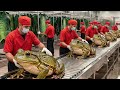 Inside the Frog Leather Factory How Exotic Skins Become Luxury Products (Million Dollar Business)