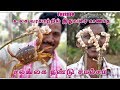 First time in youtube : Crab Hunting From drought ploughing field | சலங்கை  நண்டு  சால்சா