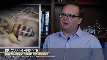 How honey bee "glue" helps pollen stick togther