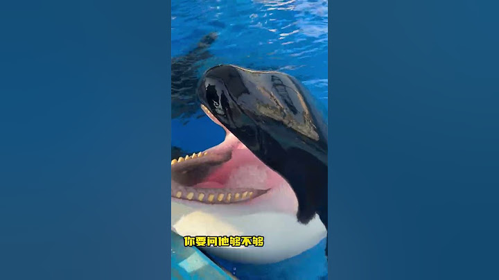 大家知道虎鯨為什麼吃冰嗎？Do you know why killer whales eat ice?