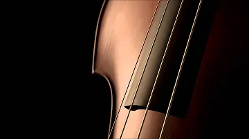 Cello Sonata No. 5 in D major [Op. 102 - No. 2]