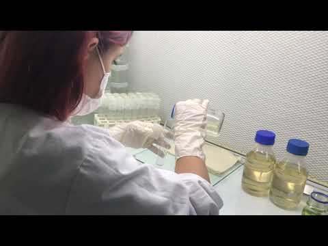 Margeht Biyoteknoloji Doku Kültürü Laboratuvarı Bitki  Çoğaltım Süreçleri
