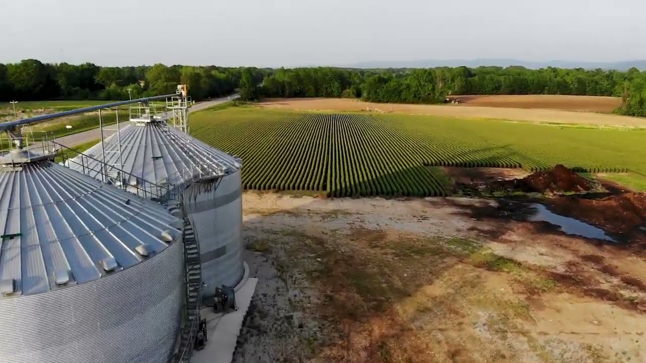 Winter Wheat at Reed Farms | Elora, Tennessee Aerial Footage