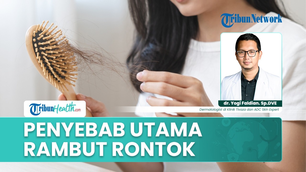 Hormon Rambut Faktor Penyebab Rambut Rontok: Genetik, Hormon, Obat hingga Diet ...