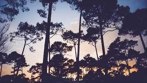 سورة طه تلاوة هادئة تخشع لها القلوب بدون حقوق نشر وطبع