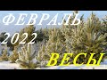 ВЕСЫ. ТАРО-ПРОГНОЗ на ФЕВРАЛЬ 2022г.