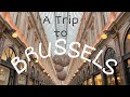VLOG A Trip to Brussels / Belgian Waffles, Chocolate Sculptures, Rainy City Walks