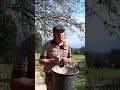 Käsefest in Kötschach-Mauthen
