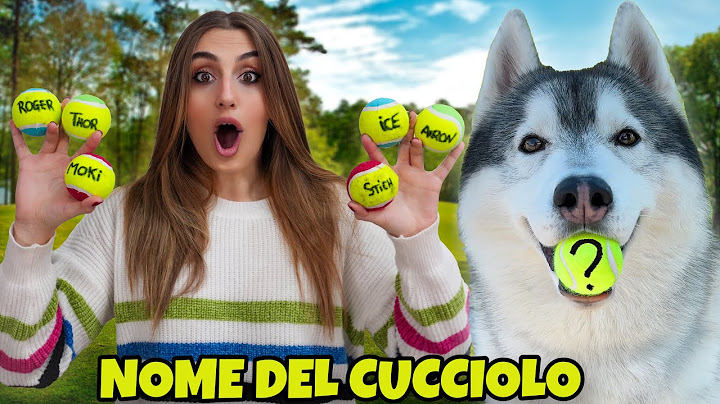 Il mio CANE SCEGLIE il NOME del CUCCIOLO 🥹❤️🐶 | MARTY E YUKO