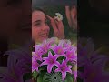 هاني شاكر لو كنت غالي