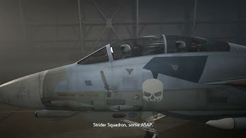 Ace combat 7 Mission 17 Homeward Ace difficulty F-14D Super Tomcat